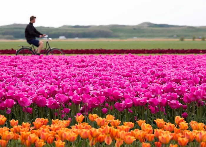 De Admiraal Hostel Den Helder